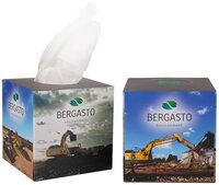 kapesníky BERGASTO